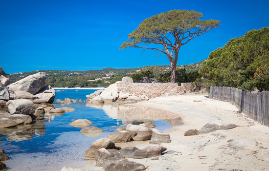 Que faire à Porto-Vecchio ?  Image